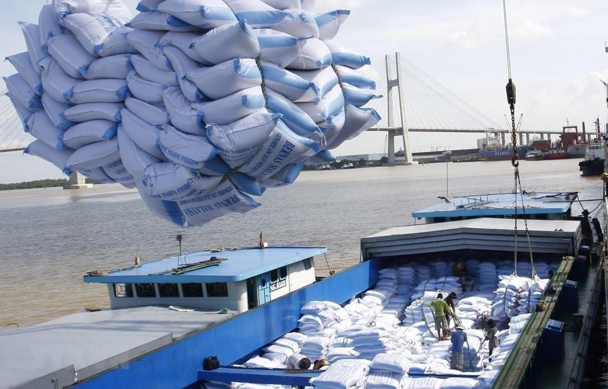 Kiểm tra những doanh nghiệp nhập khẩu gạo Ấn Độ